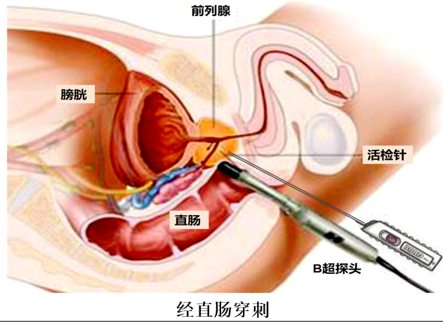 微信图片_20240423093436.png